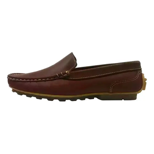 Calzado Cartelo Elegante
